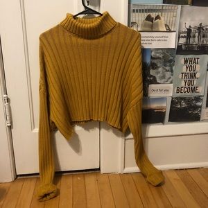 Cropped Turtleneck sweater